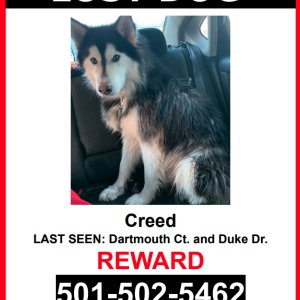 Lost Dog Creed