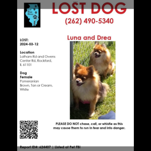 Lost Dog Luna and Drea