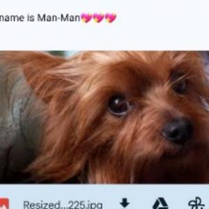 Image of Man~Man, Lost Dog