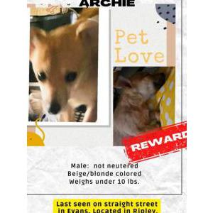Lost 1 Archie (WV)