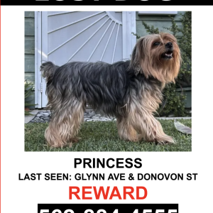 Lost Dog Princess