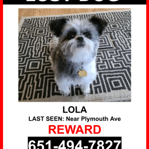Lost Dog Lola