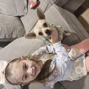 Lost Dog Nugget