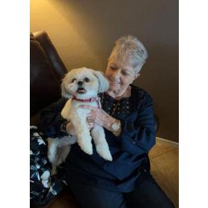 Image of Sofie, Lost Dog