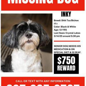 Image of Deanna Woodall, Lost Dog