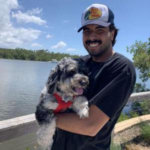 Image of Zeus, Lost Dog