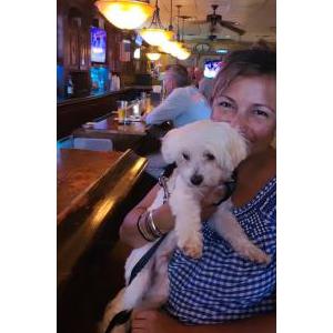 Image of Frankie, Lost Dog